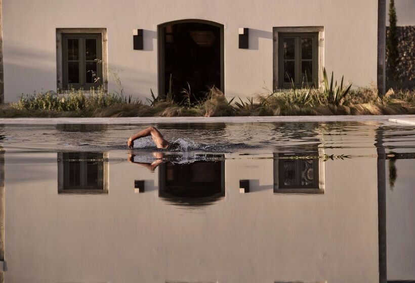 בית מלון כפרי The Olivar Suites