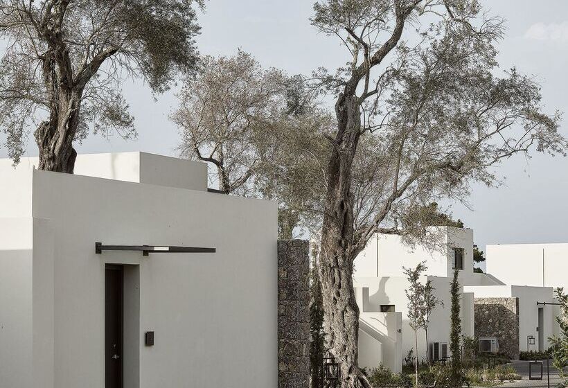 בית מלון כפרי The Olivar Suites