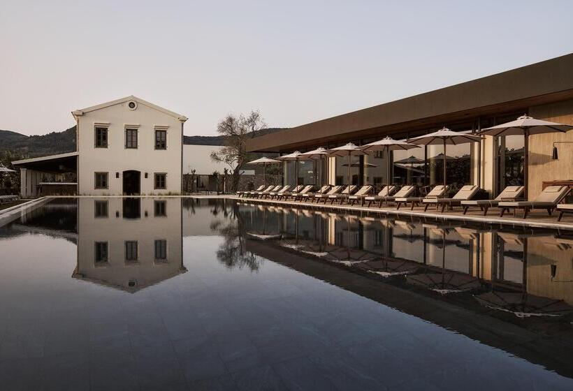 בית מלון כפרי The Olivar Suites