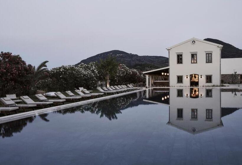 בית מלון כפרי The Olivar Suites