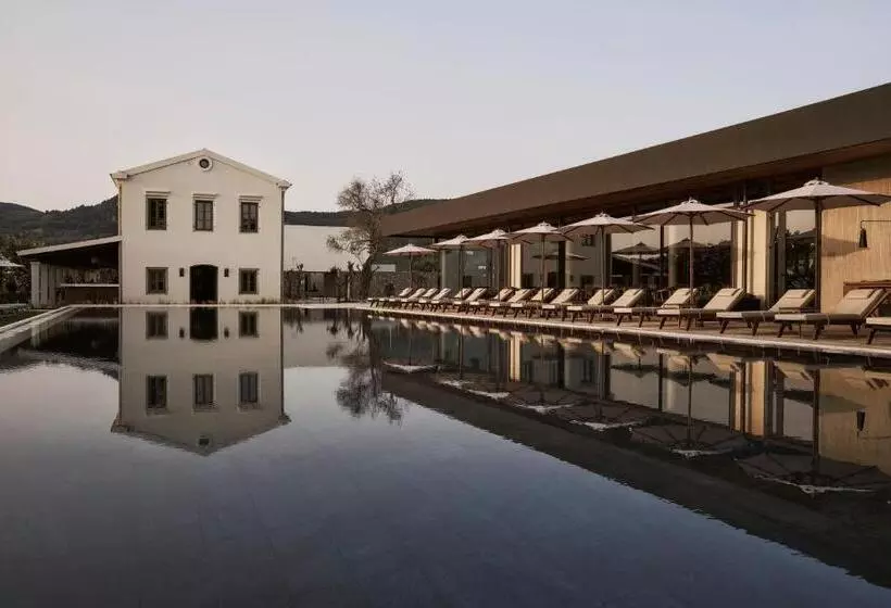 Hotelli The Olivar Suites