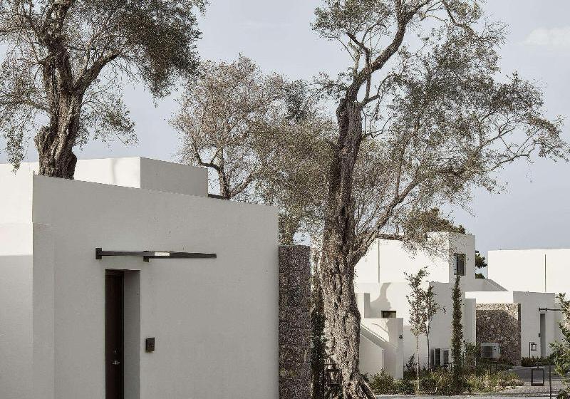 בית מלון כפרי The Olivar Suites