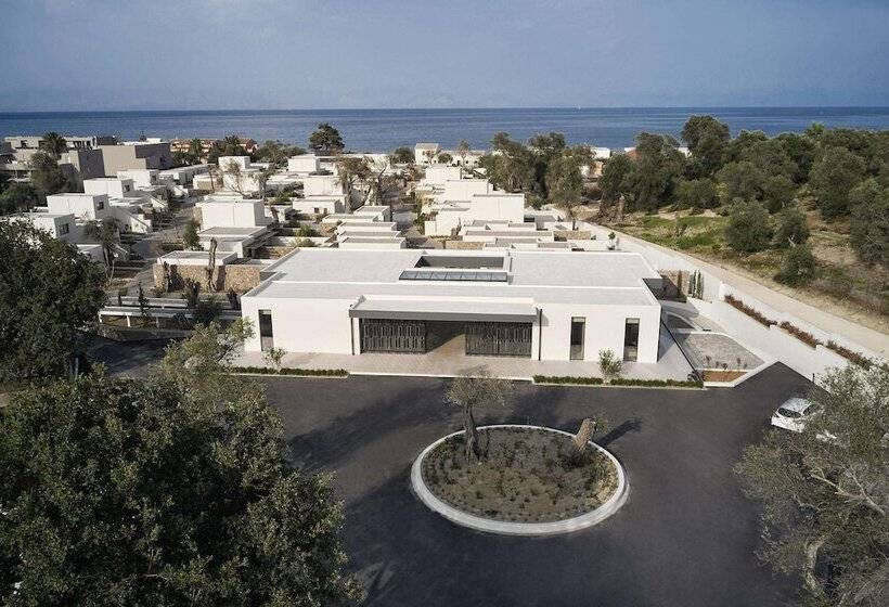 בית מלון כפרי The Olivar Suites