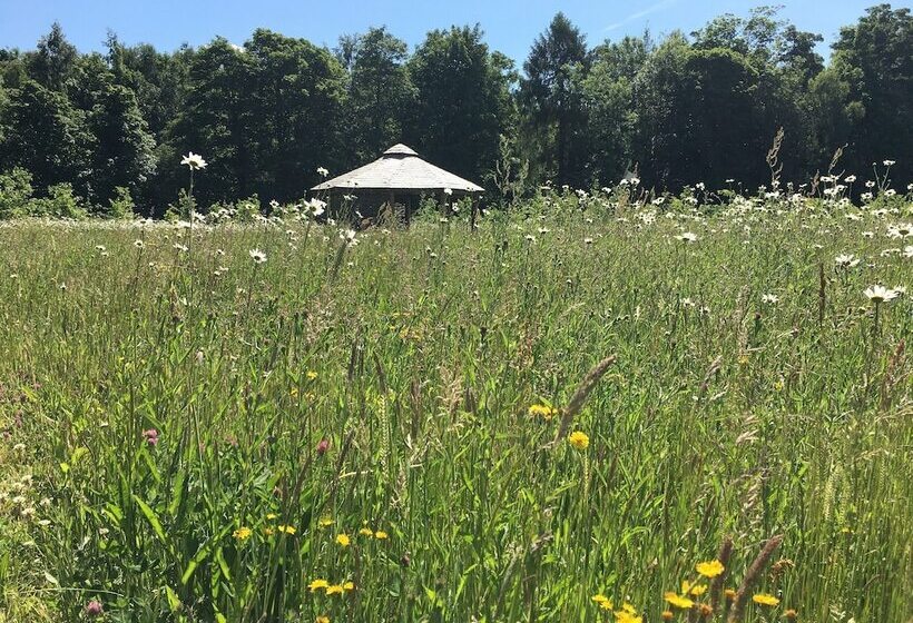 Отель Hollicarrs Newlands