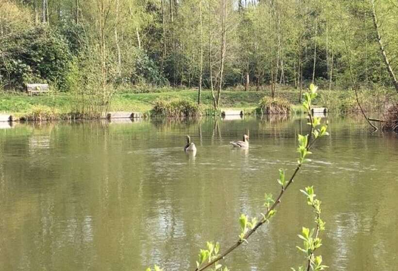 Отель Hollicarrs Newlands