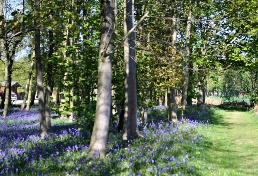 Отель Hollicarrs Newlands