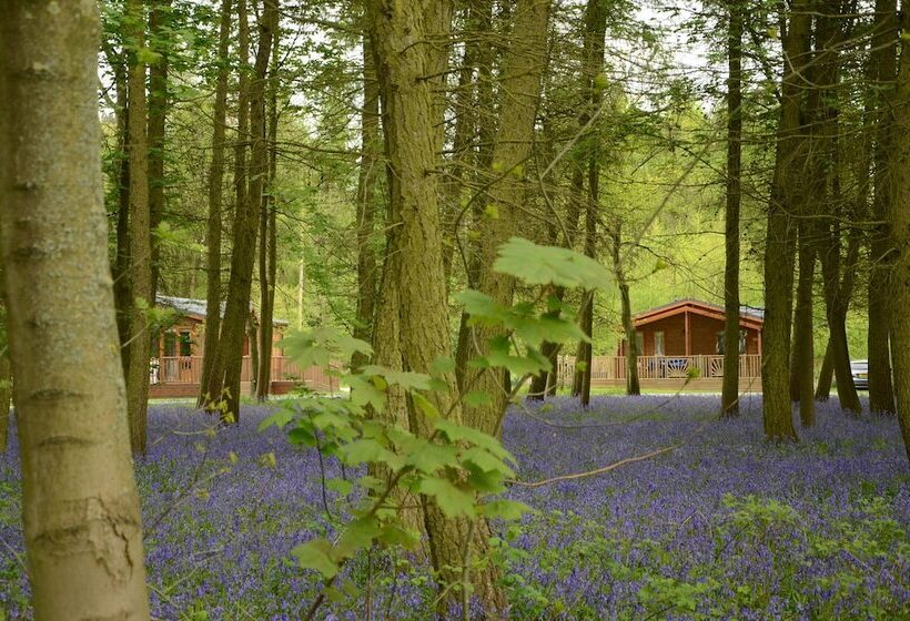 Отель Hollicarrs Newlands