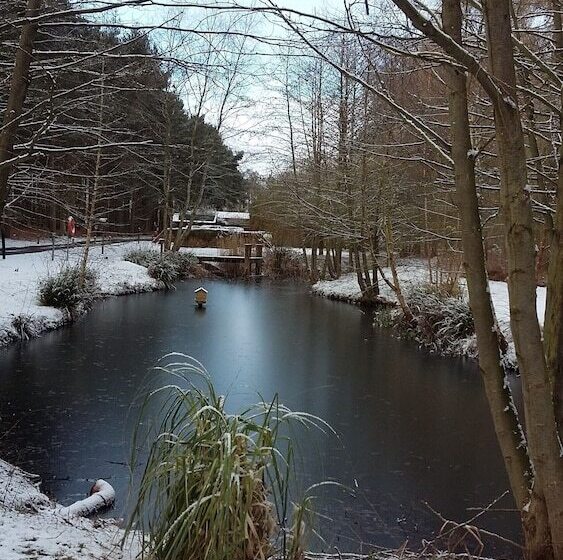 Отель Hollicarrs Newlands