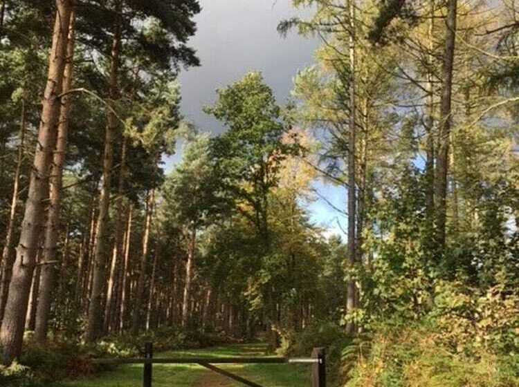 Отель Hollicarrs Newlands