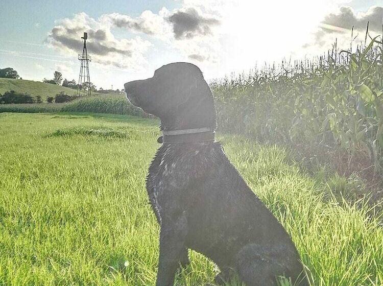 Hotel Tumbling Tom   Double And Two Singles