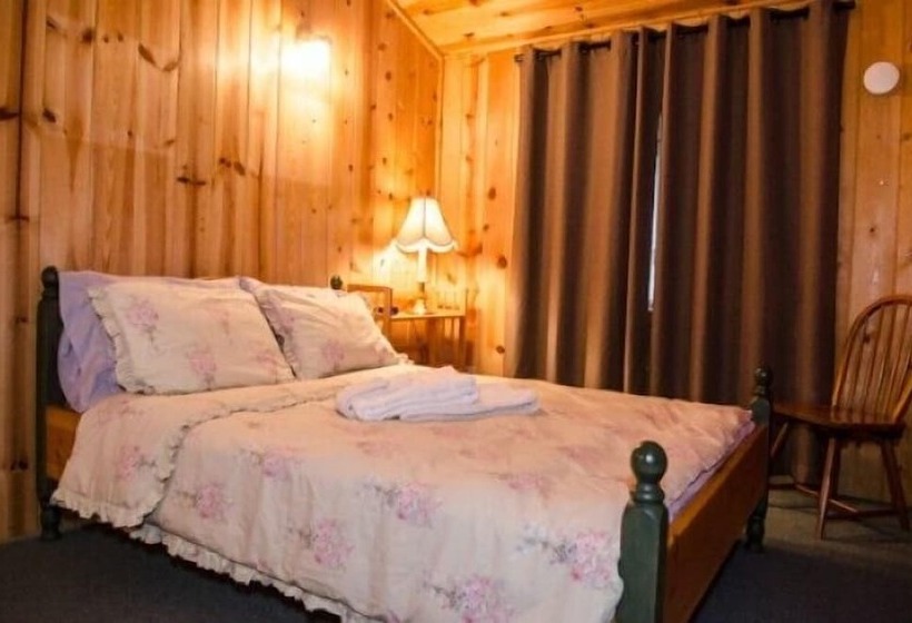 Mt Baker Lodging Cabin 10 Sleeps 8