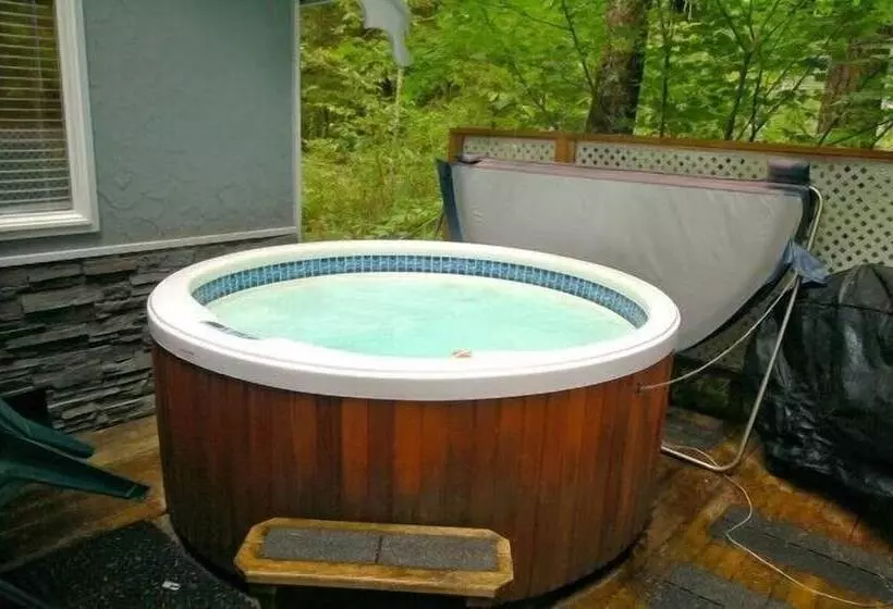 Mt Baker Lodging Cabin 16   Sleeps 2