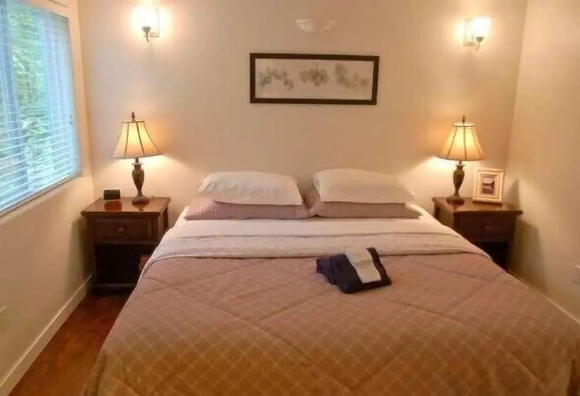 Mt Baker Lodging Cabin 16   Sleeps 2