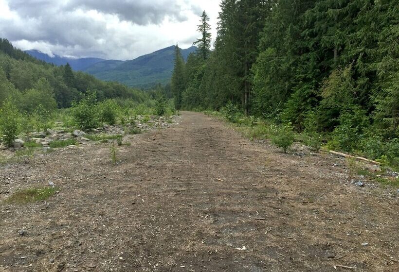 Mt Baker Lodging Cabin 16 Sleeps 2