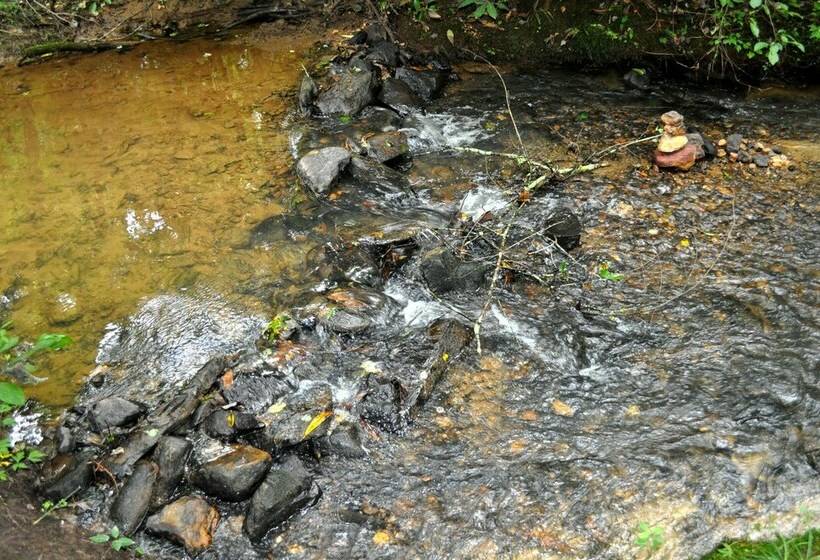 Twin Creeks Near Ocoee River