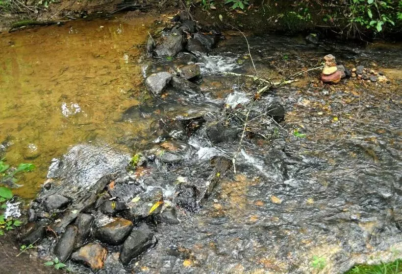 Twin Creeks Near Ocoee River