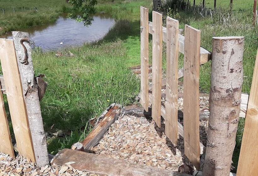 Eco Accommodation Cornflower Holiday