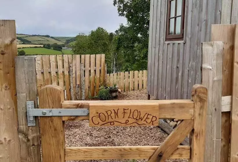 Eco Accommodation Cornflower Holiday