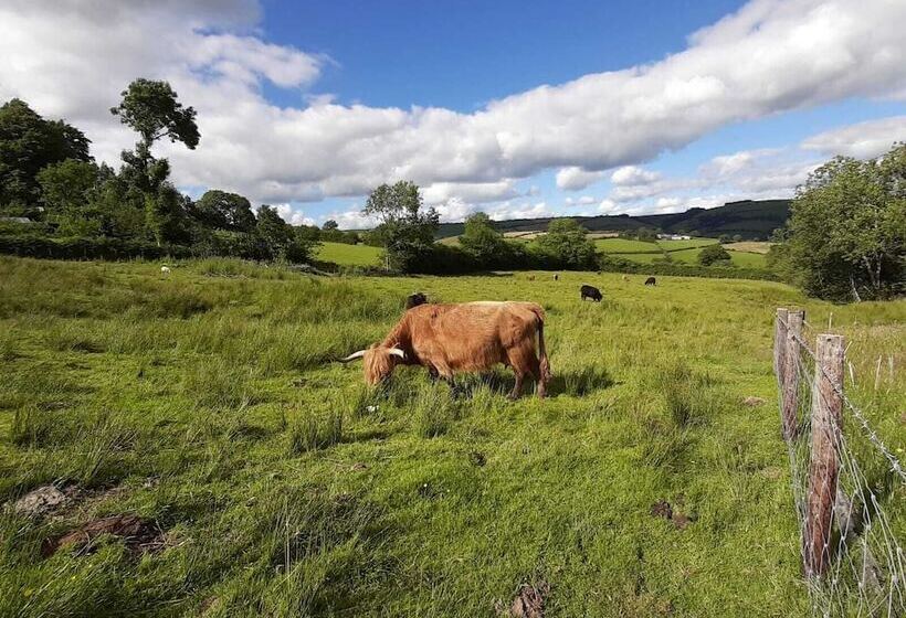 Eco Accommodation Cornflower Holiday