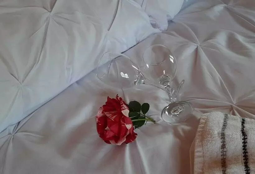 Eco Accommodation Cornflower Holiday