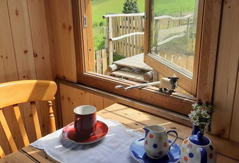 Eco Accommodation Cornflower Holiday