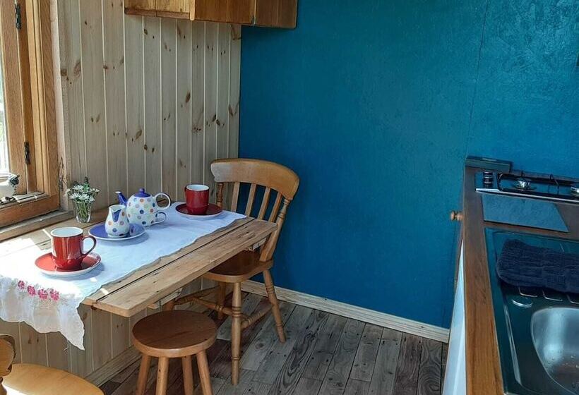 Eco Accommodation Cornflower Holiday