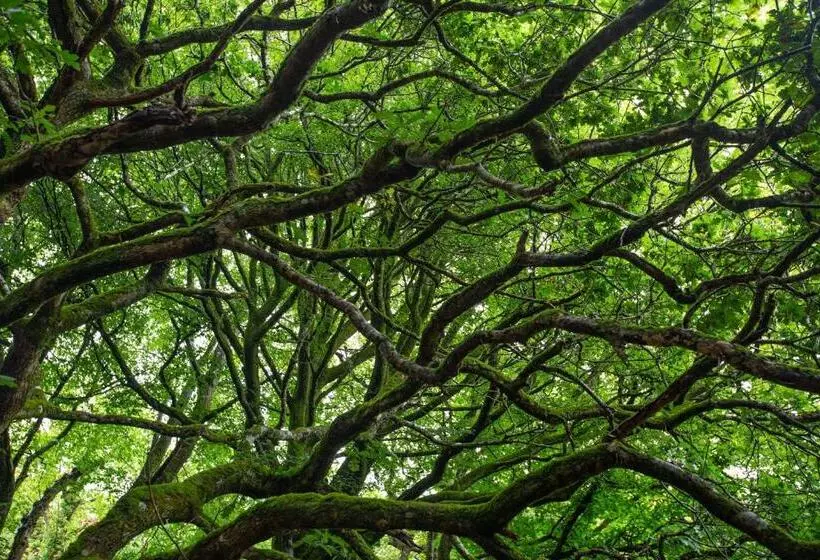 Holifield Farm Hostel & Community Project