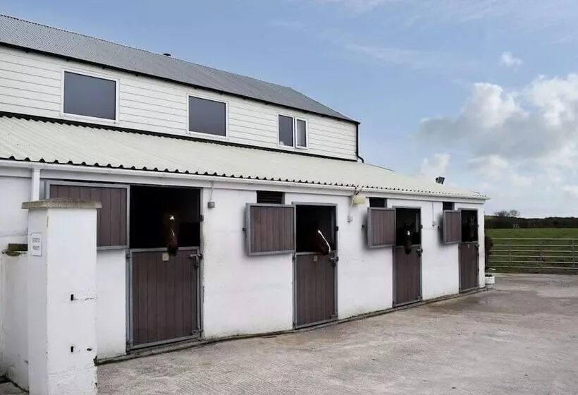 Rose Cottage Captivating 1 Bed Cottage In Bangor