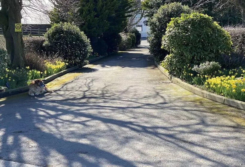 Rose Cottage Captivating 1 Bed Cottage In Bangor