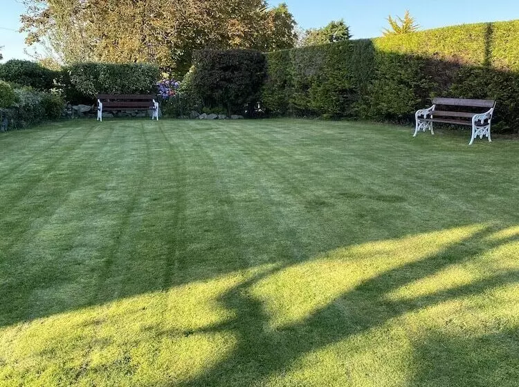 Rose Cottage Captivating 1 Bed Cottage In Bangor