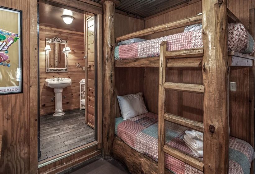 Three Bears By Vtrips