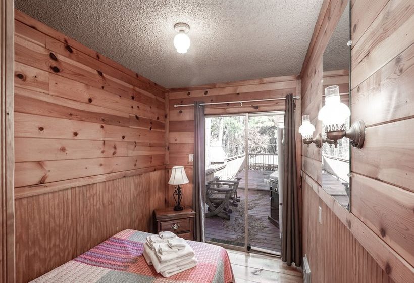 Three Bears By Vtrips