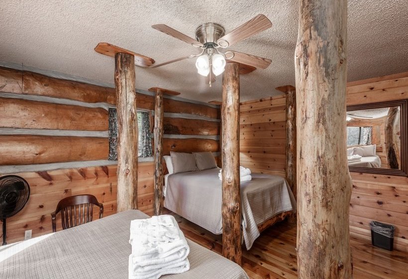 Three Bears By Vtrips