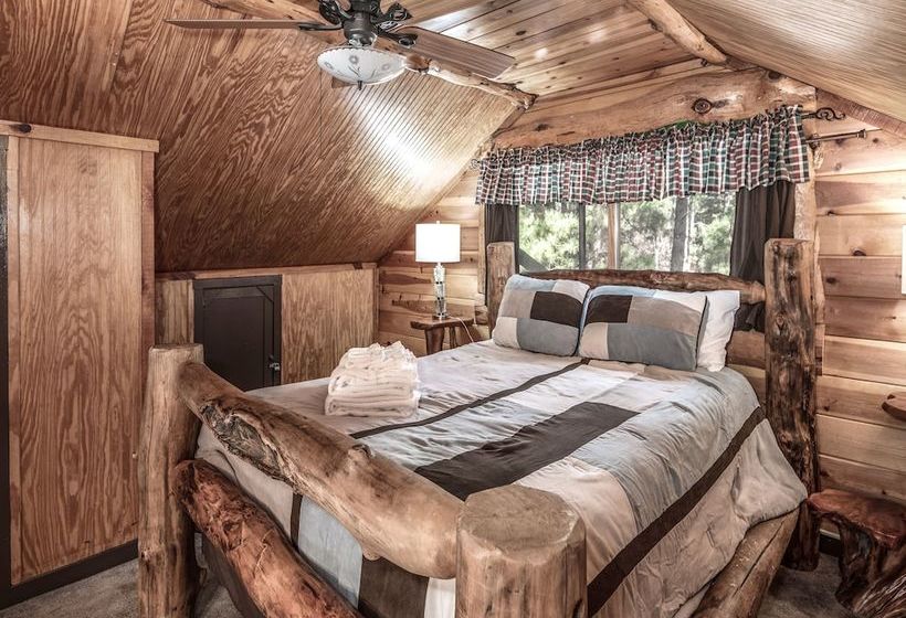 Three Bears By Vtrips