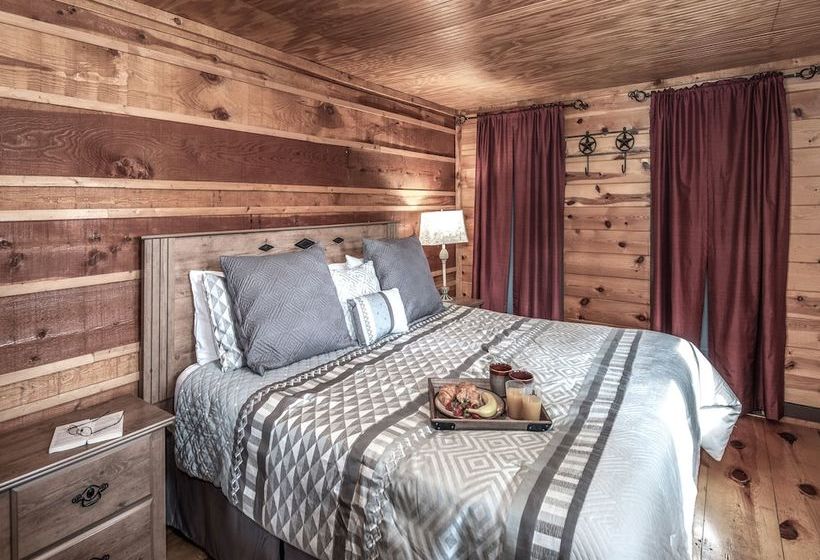 Three Bears By Vtrips