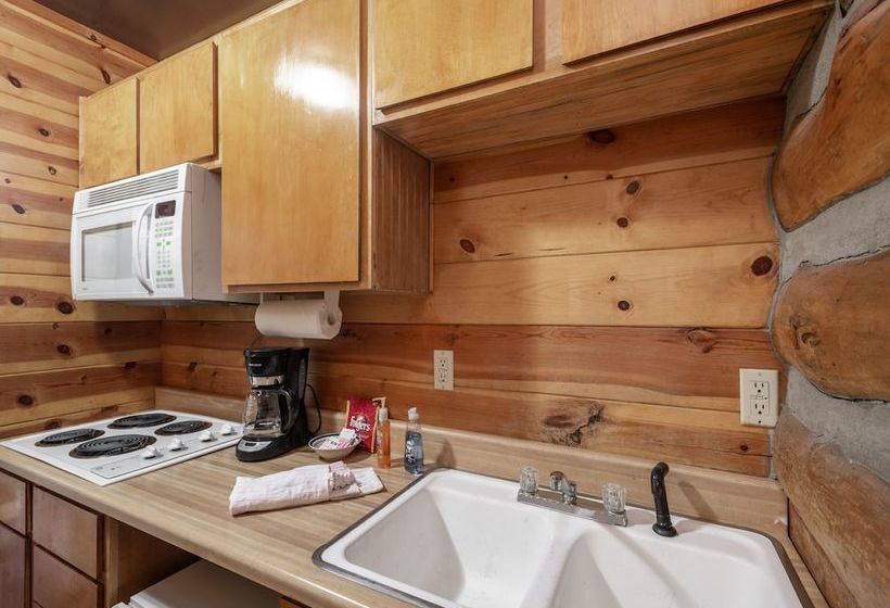 Three Bears By Vtrips