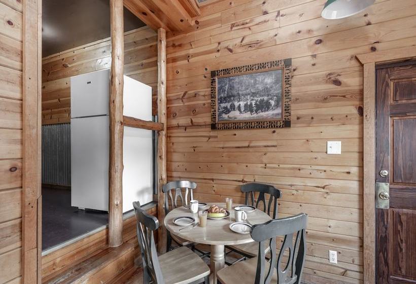 Three Bears By Vtrips