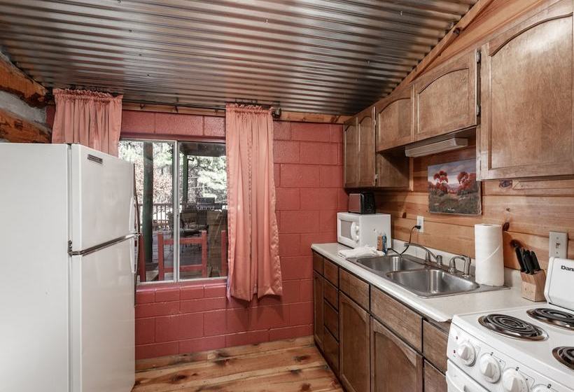 Three Bears By Vtrips