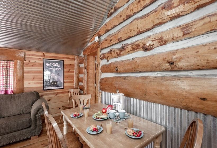 Three Bears By Vtrips