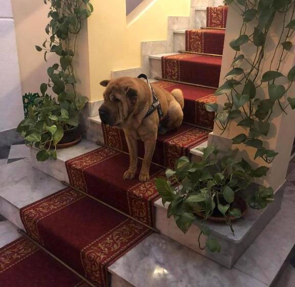 B&b Al Piazza Marina