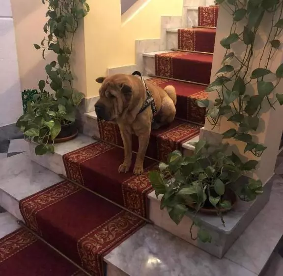 B&b Al Piazza Marina