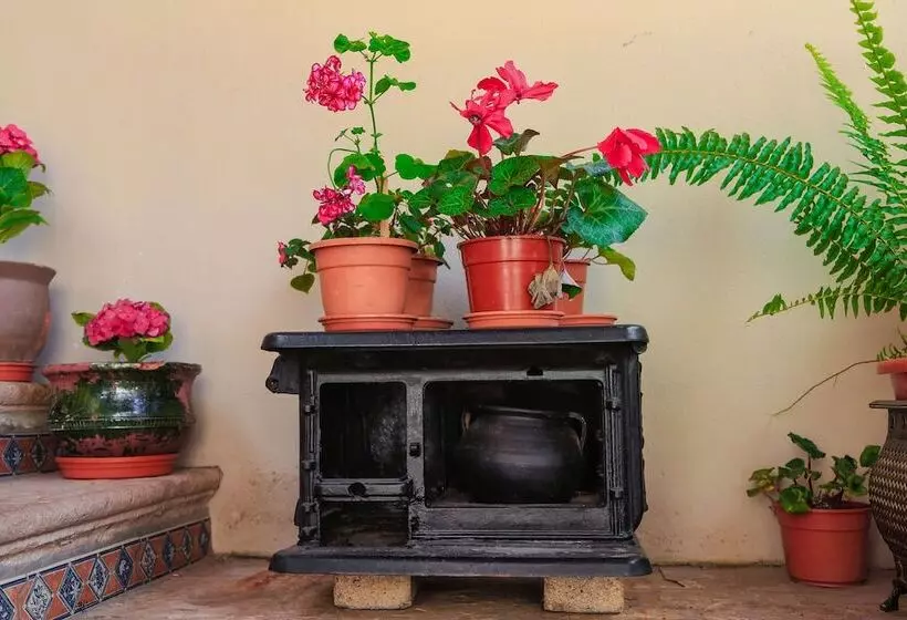 مسافرخانه Boutique La Posada