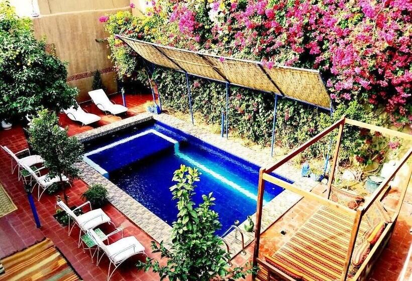 فندق La Petite Kasbah