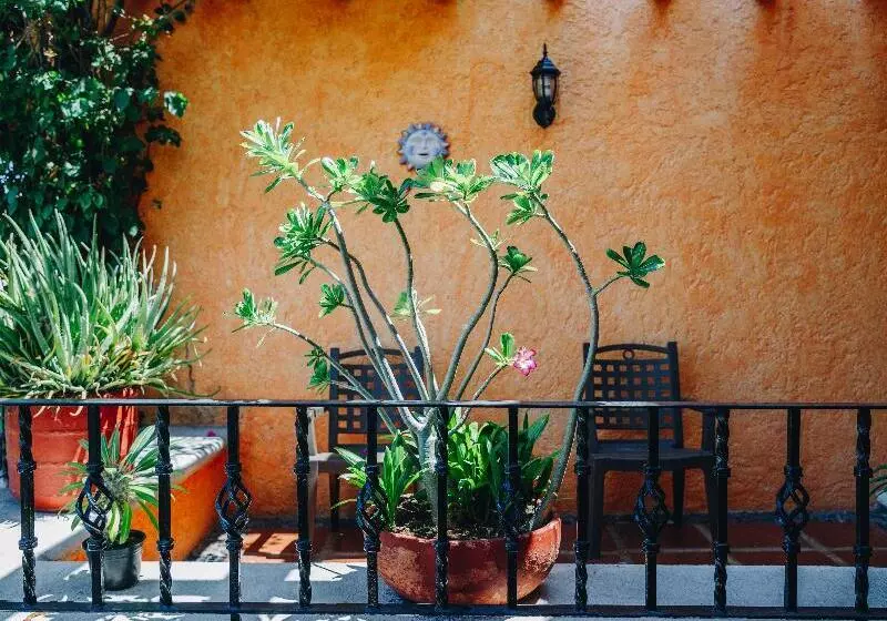 בית מלון כפרי Lunata 5th. Avenue