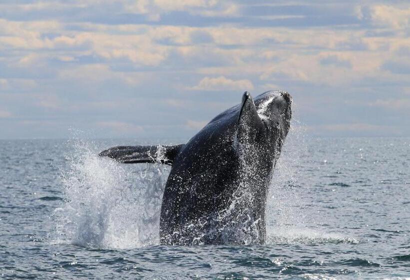 فندق Rayentray Grand