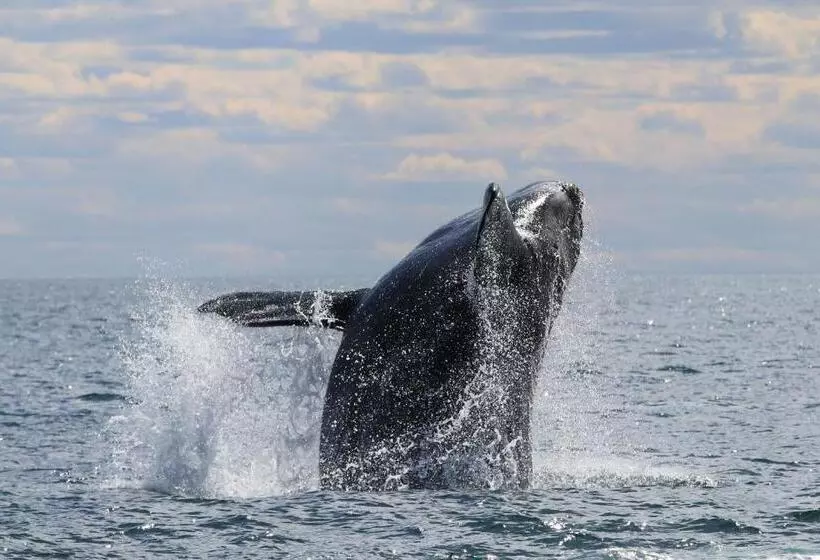 호텔 Rayentray Grand