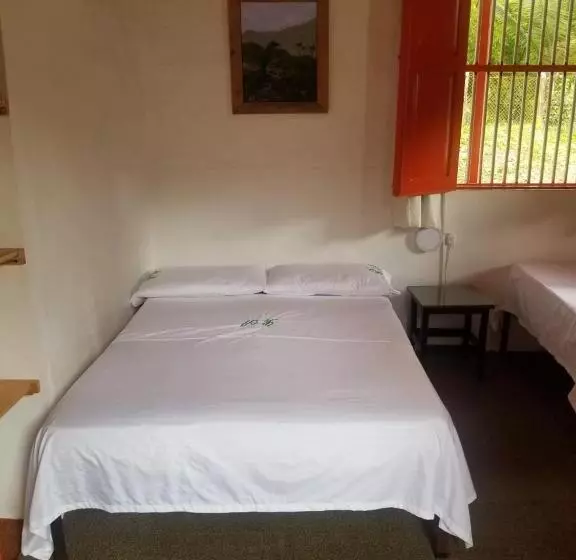 ユースホステル Hostal Rio Arabia Valle De Cocora