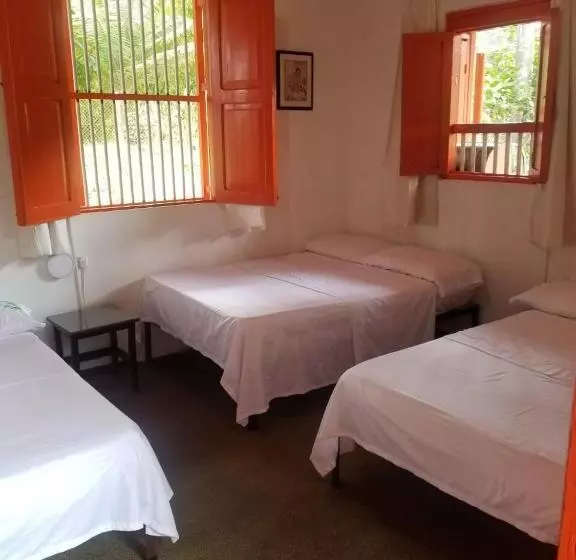 ユースホステル Hostal Rio Arabia Valle De Cocora
