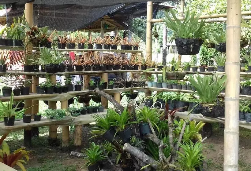 ユースホステル Hostal Rio Arabia Valle De Cocora