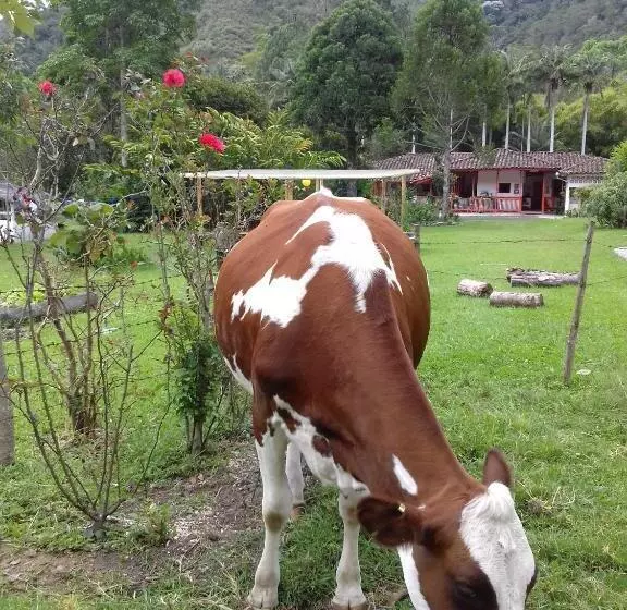 ユースホステル Hostal Rio Arabia Valle De Cocora